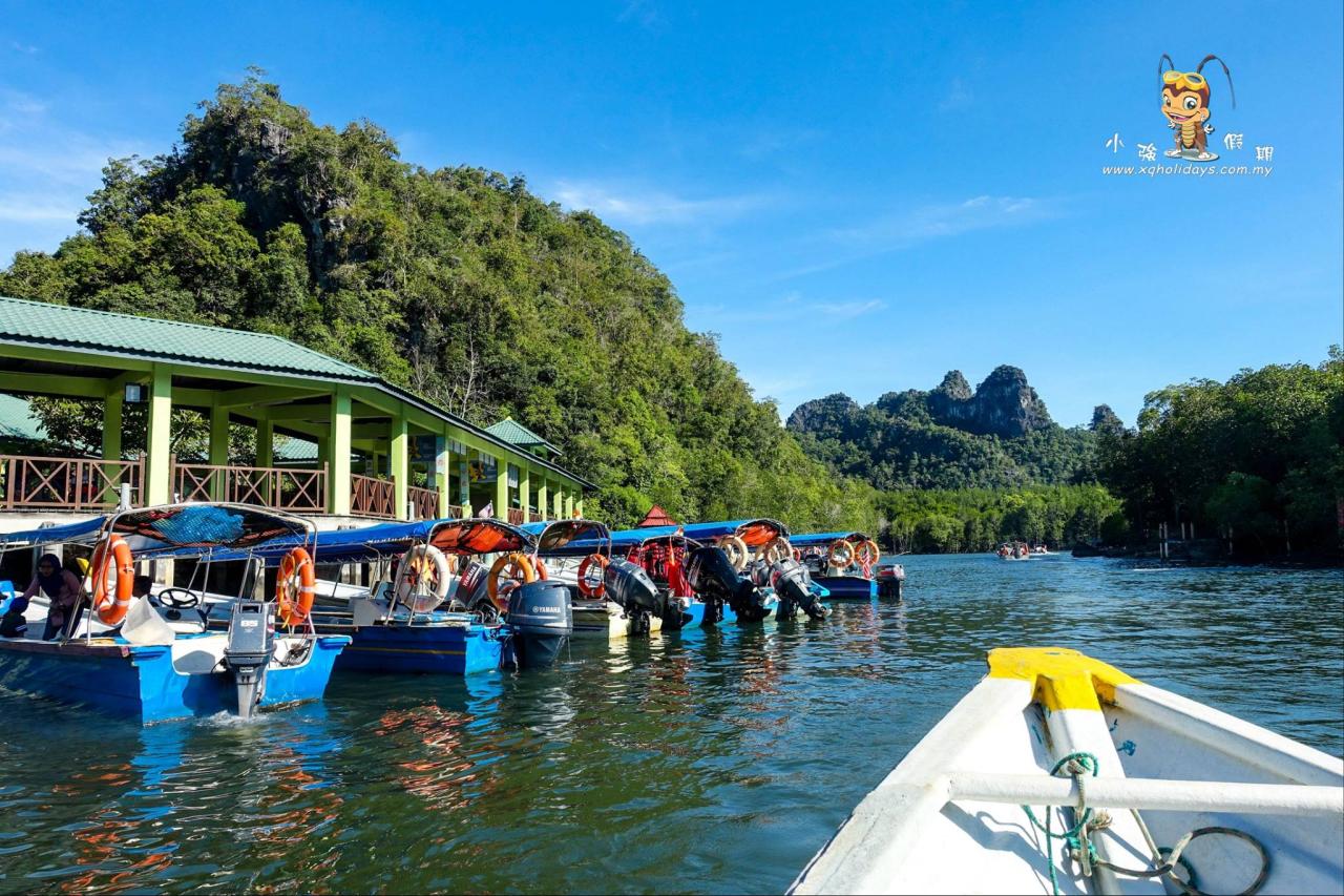 Jelajahi Mangrove Langkawi: Petualangan Ekologis yang Menakjubkan